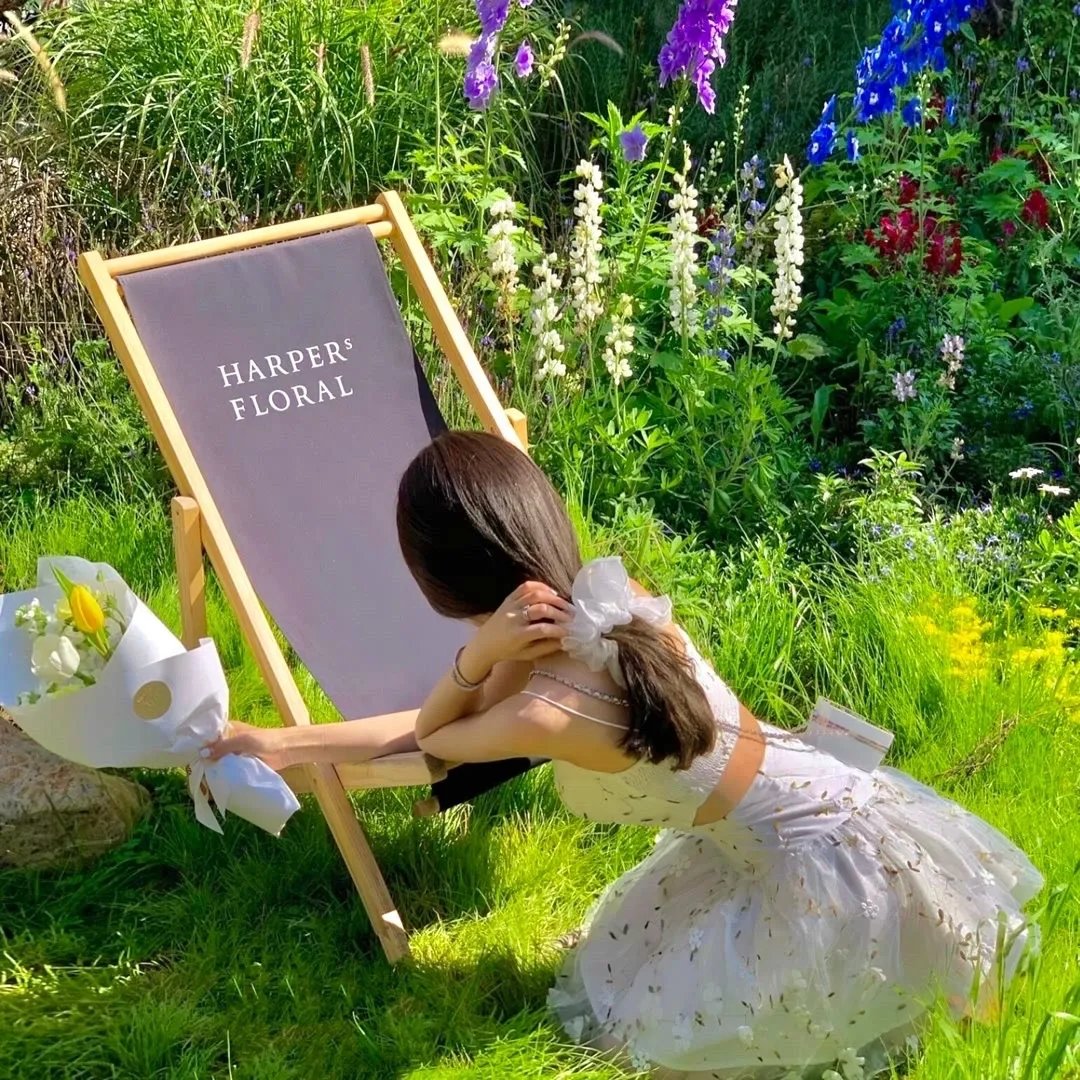 团宠小公主靠种田成为国宝